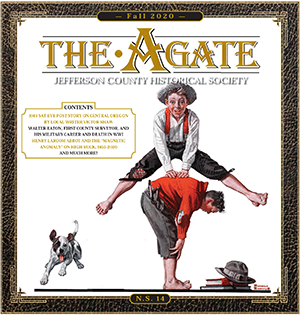 The Agate, Fall 2020